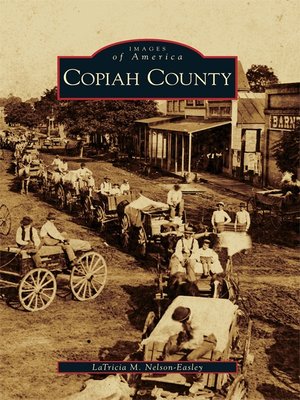 cover image of Copiah County